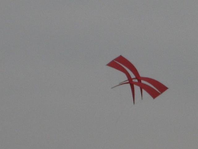 Drachenfest Bergeijk 2009 106.jpg